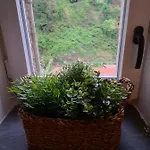Apartman Il Nido Di Ceriana
