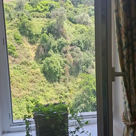 Il Nido Di Apartment *